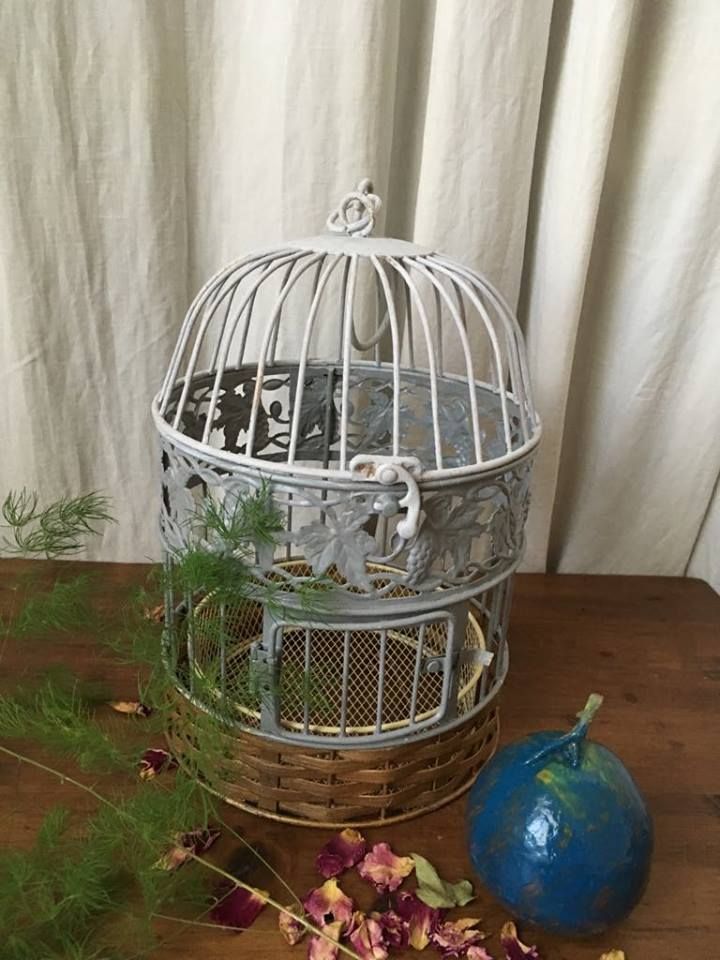 Cage Oiseau Ancienne