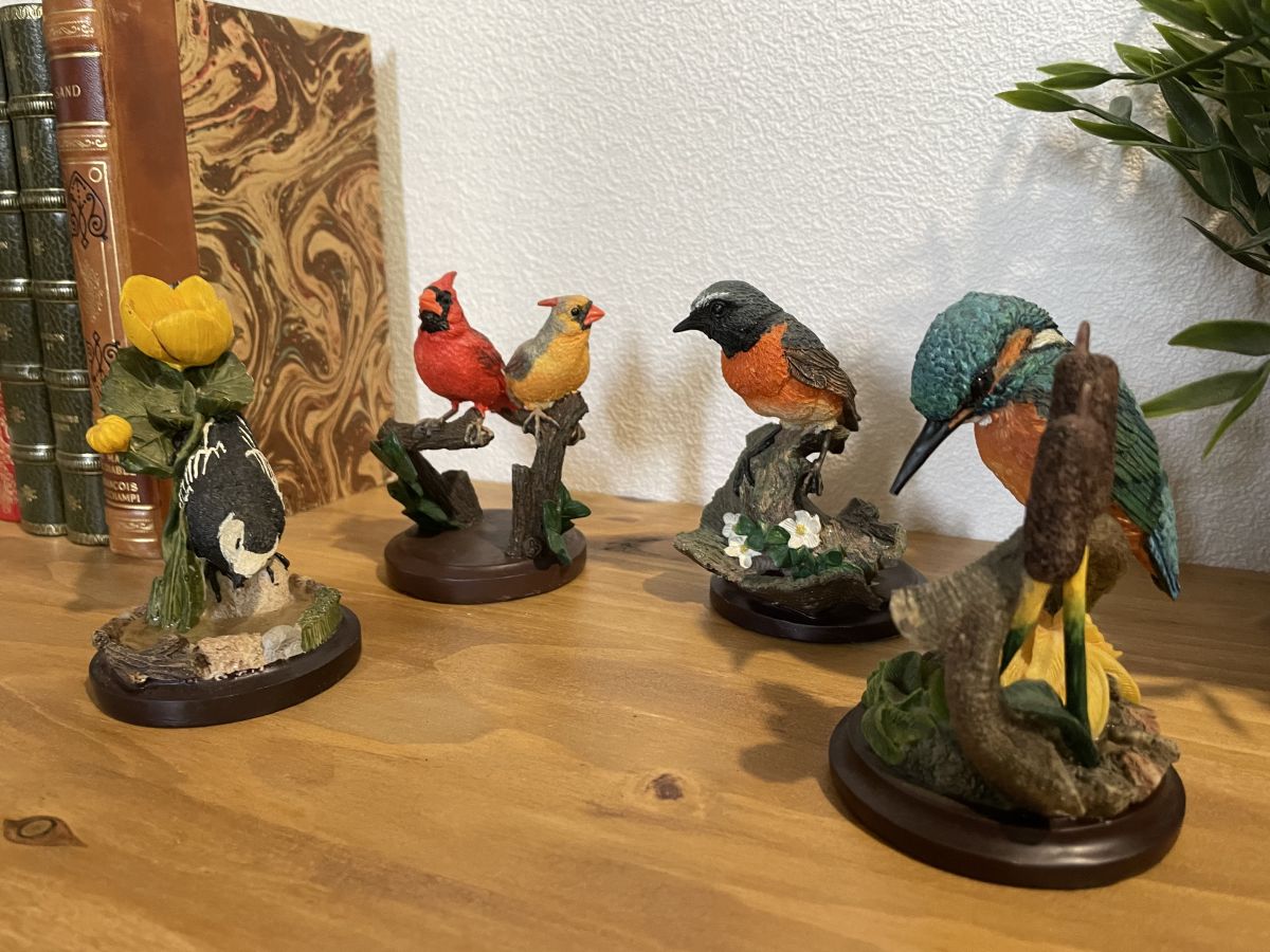 Lot d'accessoires pour oiseaux - , les ventes