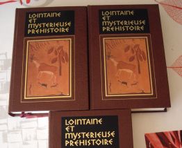 Lointaine et mystérieuse préhistoire