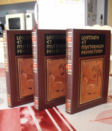 Lointaine et mystérieuse préhistoire