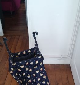 Poussette bébé compacte et légère