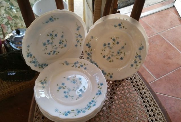 12 assiettes arcopal