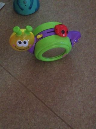 escargot, lapin