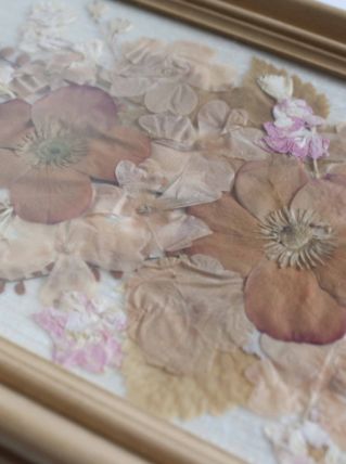 cadre de fleurs séchées