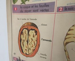 Affiche vintage mdi