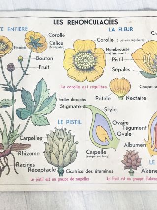 Affiche vintage MDI 