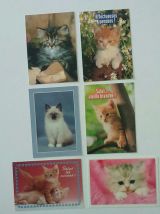 Lot de cartes postales chats