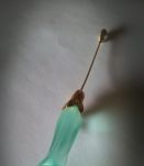 Broche fleur daum