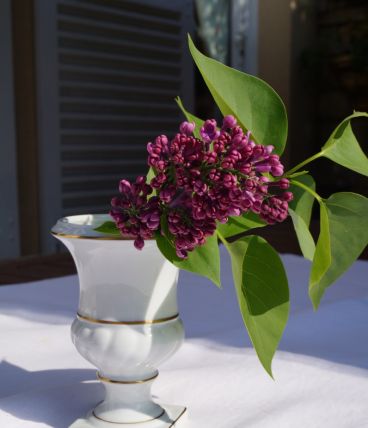 Petit vase Limoges