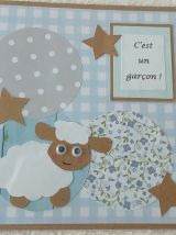 Cartes naissance mouton