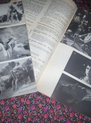 2 revue cinema l'avant scene belmondo et fossey