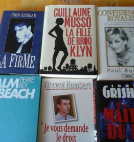 Romans et Livres Divers (Actualité, Thriller, etc ...)