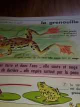 Affiche scolaire edition mdi 