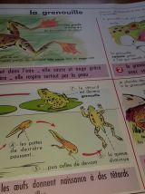 Affiche scolaire edition mdi 