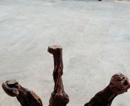 Table salon en forme de feuillede vigne