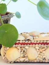 Superbe grande boite "coquillages" ancienne Années 50/60