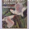 Perroquets - The Saturday Evening Post - Cover - September 3, 1938