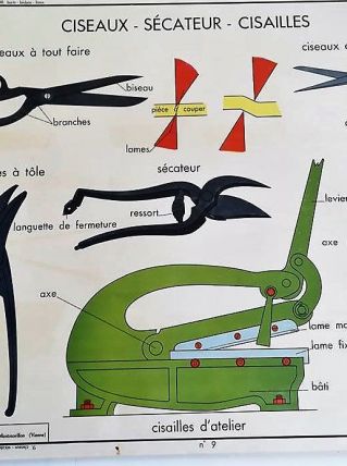 AFFICHE ROSSIGNOL SCIENCES  LES CISEAUX