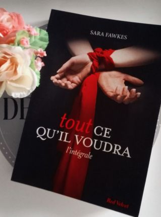 Tout ce qu'il voudra - Sara Fawkes