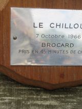 Très beau pied d'honneur de brocard du 07.10.1966. 2 pattes