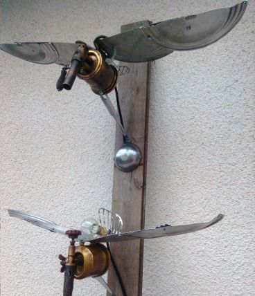 albatros