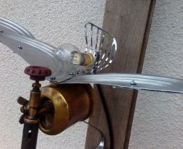 albatros