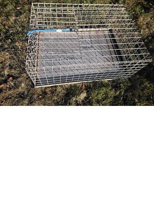 cage transport volaille