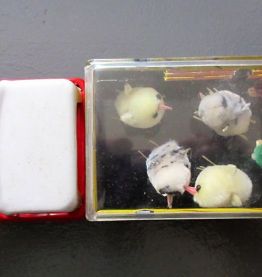 - Jouet ancien en tôle et plastique Fowls Transporter"