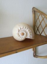 Etagère murale en bois &amp; rotin 60s