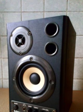 Enceintes Home Studio MS20