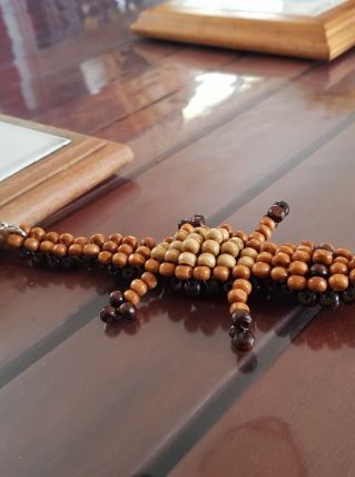 Crocodile 