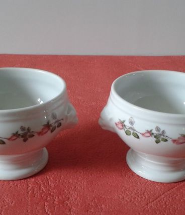 Deux bols vintage en porcelaine