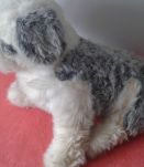  Peluche: gros chien