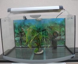 Aquarium 140L/84cmGalbéVision2Néon+filtre+chauffage