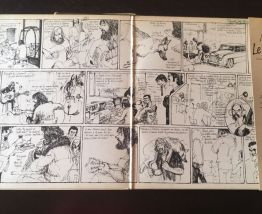 Maxime Le Forestier lot 3 vinyles 33 t