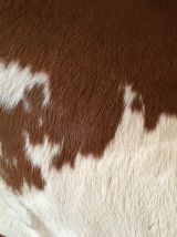 Tapis peau de vache