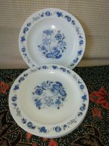 Assiettes à dessert Arcopal Fleurs bleues
