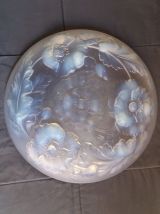 GRANDE COUPE ANCIENNE "SABINO"