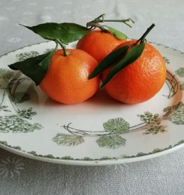 Assiette de présentation Géranium