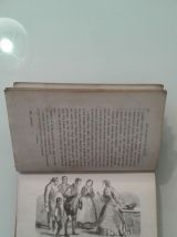 Livre les Malheurs de SOPHIE 1882