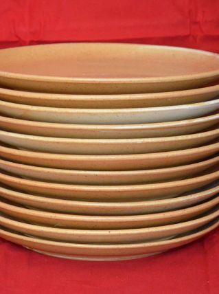 12 assiettes plates en grès Village CNP 