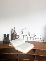 Ensemble antilopes gazelles laiton
