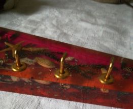 Patères en resine