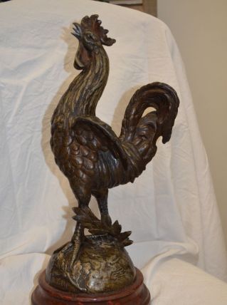 Coq