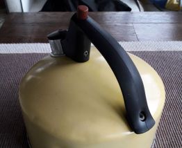 Bouilloire sifflet Regal USA