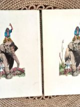 BD Elephant boy 1974 