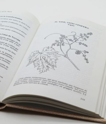 Livre les 38 quintessences florales du docteur Edward Bach