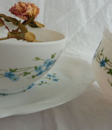 Ensemble Arcopal Myosotis