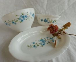 Ensemble Arcopal Myosotis