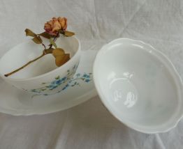 Ensemble Arcopal Myosotis